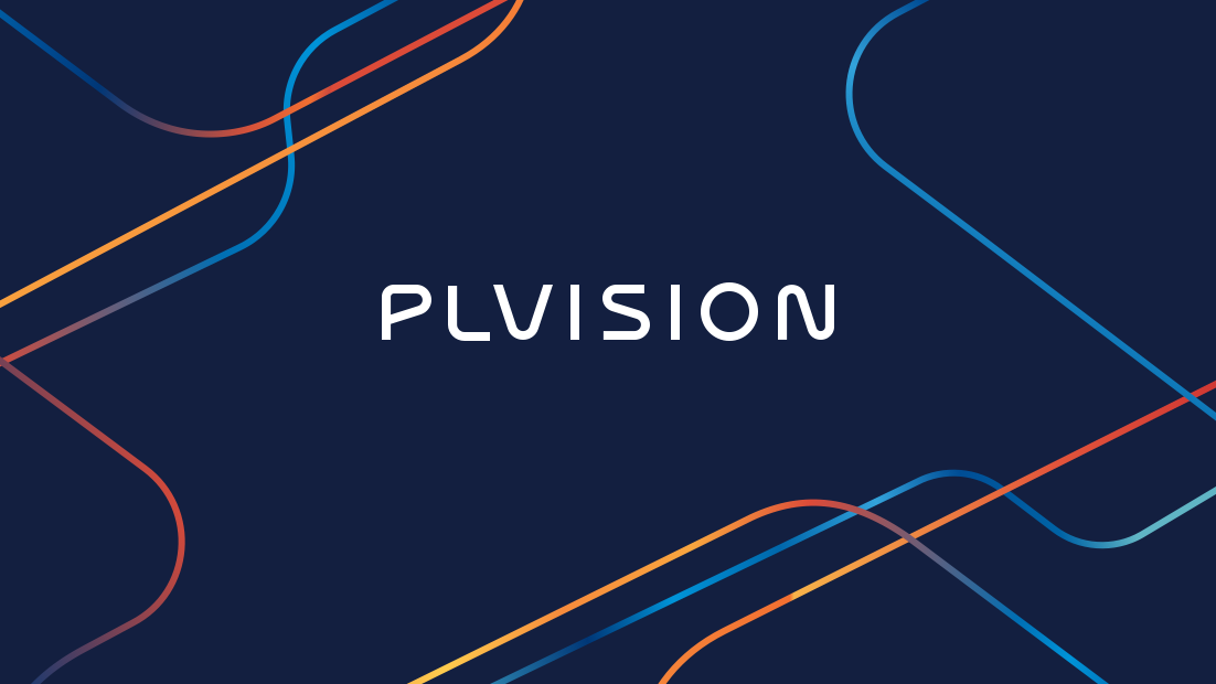 Plvision branding - branding - Qubstudio