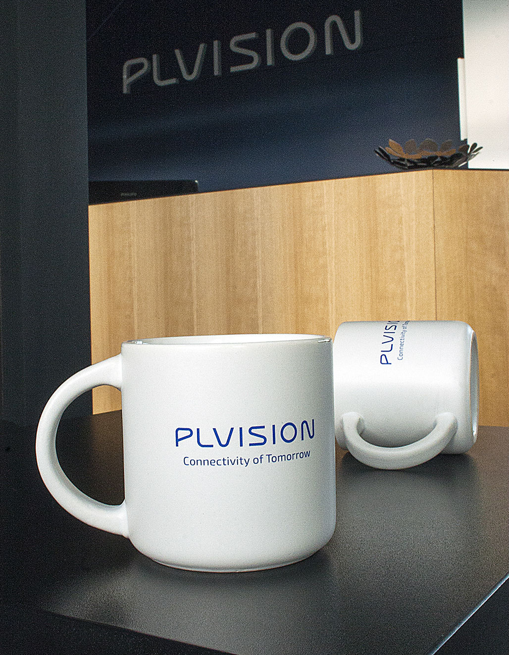 Plvision branding - materials-img3 - Qubstudio