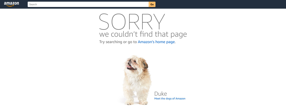 Best UX practices for search interface - 1.4 Amazon 404 - Qubstudio